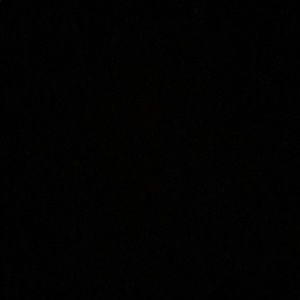 Meet your Posher, Judith